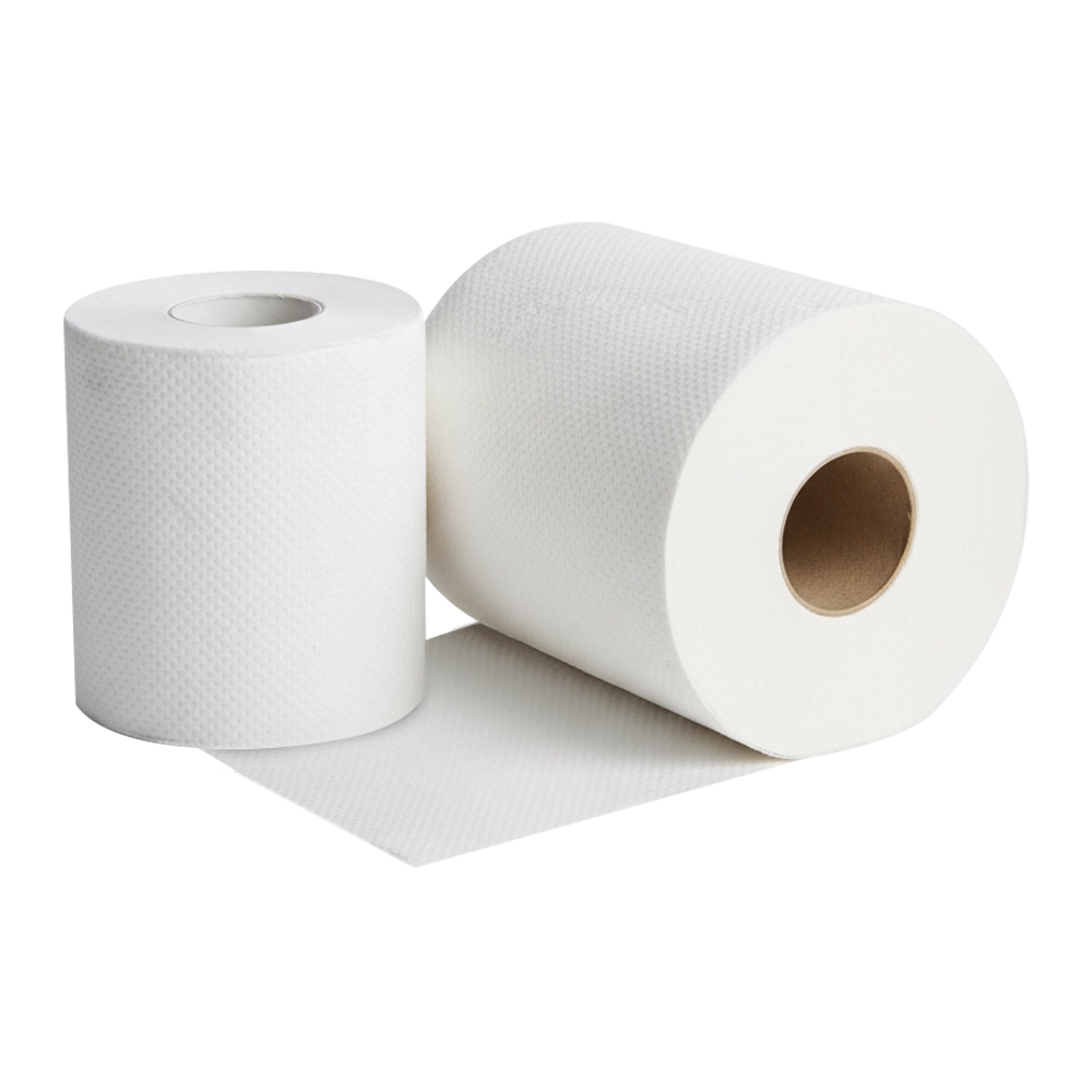 Toilet Paper & Toilet Tissue